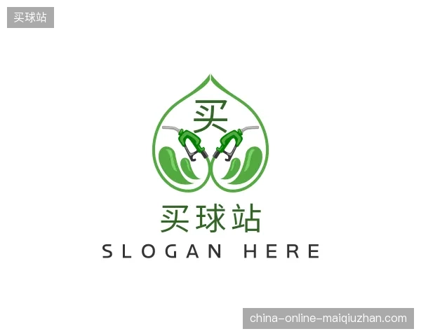 纵览买球站中国官网